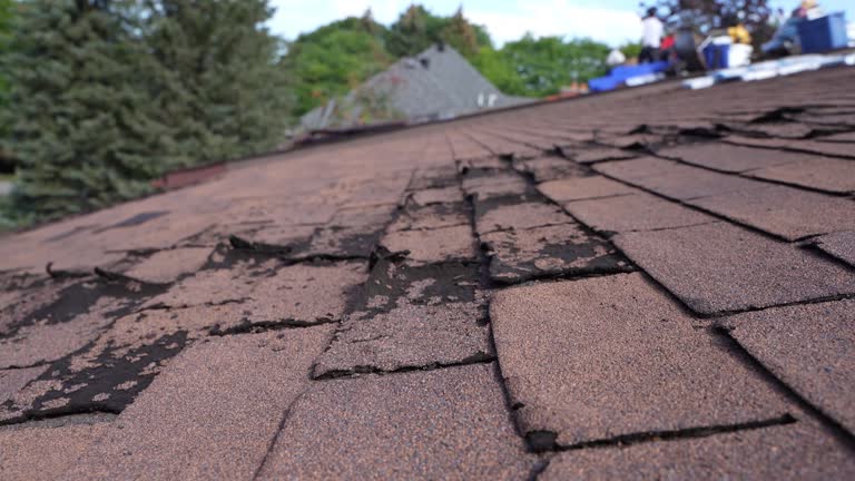 Asphalt Shingles Roofing in Lakeside, OR